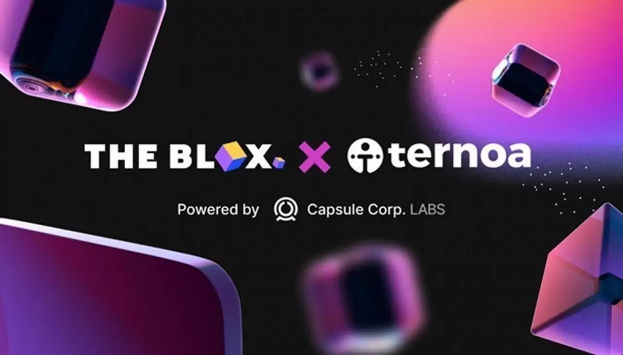 The Blox and Capsule Corp. Labs Announce $1M+ Accelerator Program to fund 10 startups on Polkadot-based Blockchain Ternoa