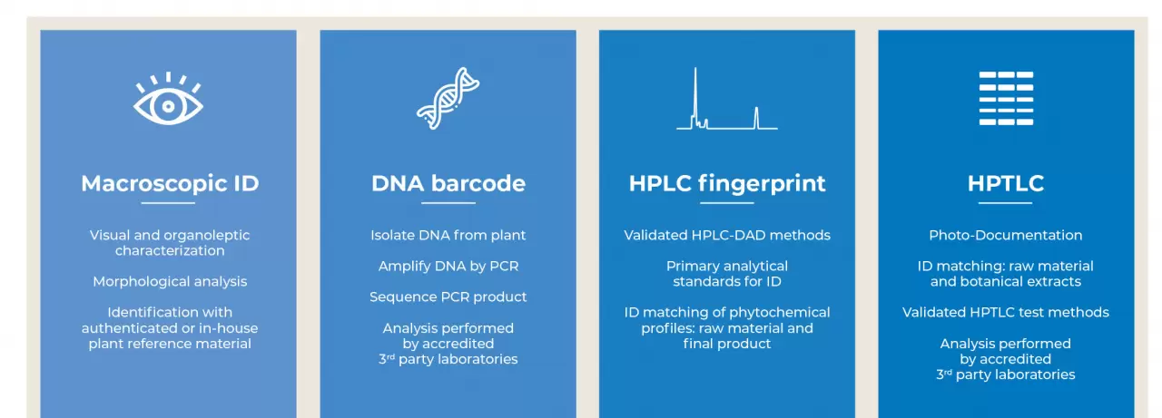 Nektium's Quality Assurance team conducts multiple identity tests on every batch of Rhodiolife, including macroscopic and sensorial analysis, the development of chromatographic profiles and independent DNA barcode analysis img#2