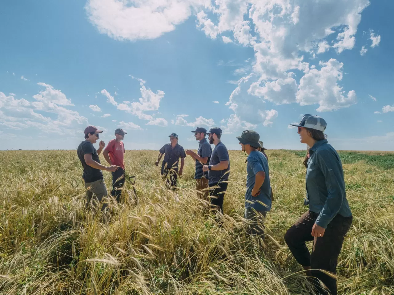Mad Capital Closes $4M Seed Round to Finance the Regenerative Agriculture Revolution