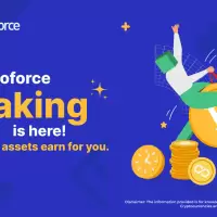 Cryptoforce Launches Staking Program with a Zero-TDS on Investment