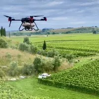 XAG Drones in Vineyards Make Wine Growing Safer and Easier img#1