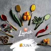 Solina acquires Canada's Lynch Foods in latest phase of North American expansion