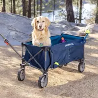 PetSmart Introduces Adventurous Additions to Arcadia Trail™ Collection to Inspire Summer Fun for Pets and Pet Parents