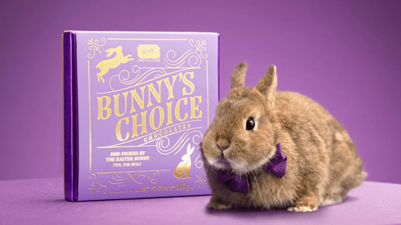 Purdys Chocolatier invited a real bunny to create their new Bunny’s Choice Gift Box (CNW Group/Purdys Chocolatier) img#1