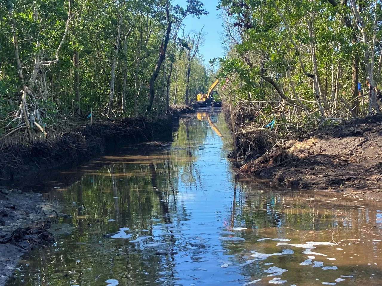Fruit Farm Tidal Creek restoration project completed in Marco Island, Florida