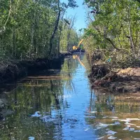 Fruit Farm Tidal Creek restoration project completed in Marco Island, Florida