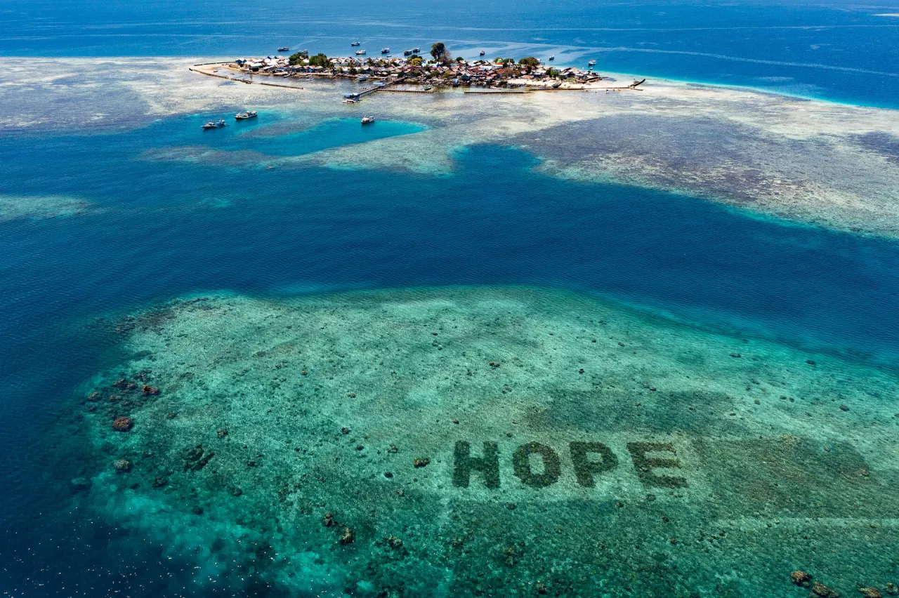 SHEBA® Hope Advocate Program: Join the World's Largest Coral Restoration Project img#1