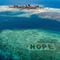 SHEBA® Hope Advocate Program: Join the World's Largest Coral Restoration Project