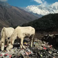 Sagarmatha Next uses crowdsourcing to remove 10,000 kgs of waste from Mount Everest region img#1