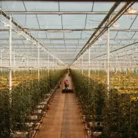 SK networks Invests $2M in AI Farming Startup 'Source.ag'