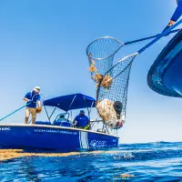 Bonterra Backs 4ocean Pledge to Remove 100K Pounds of Ocean Plastic Annually